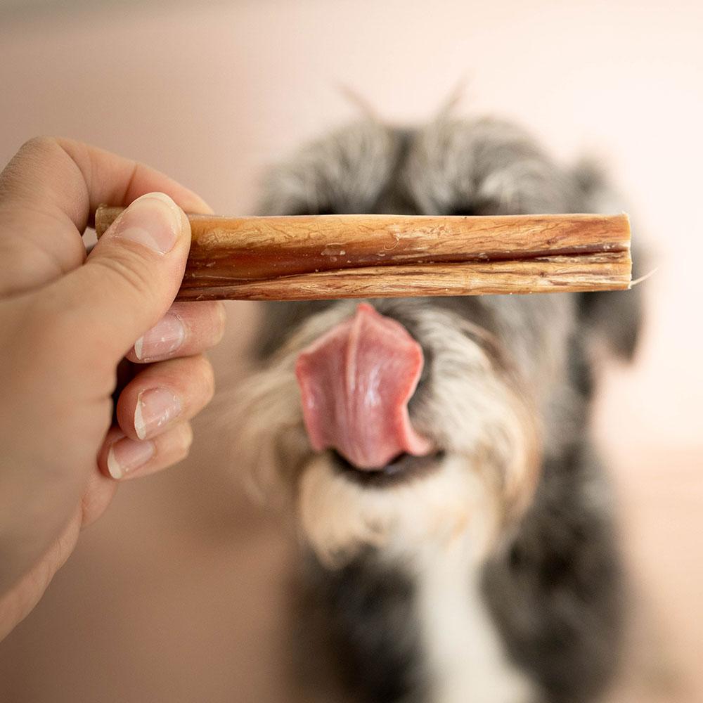 Beef penis 15 cm 4DOGS size M - 1 piece