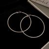 Silver Needle Autumn and Winter Metal Earrings Earrings Niche Fashion Cold Wind Earrings Versatile Light Luxury Premium Earrings