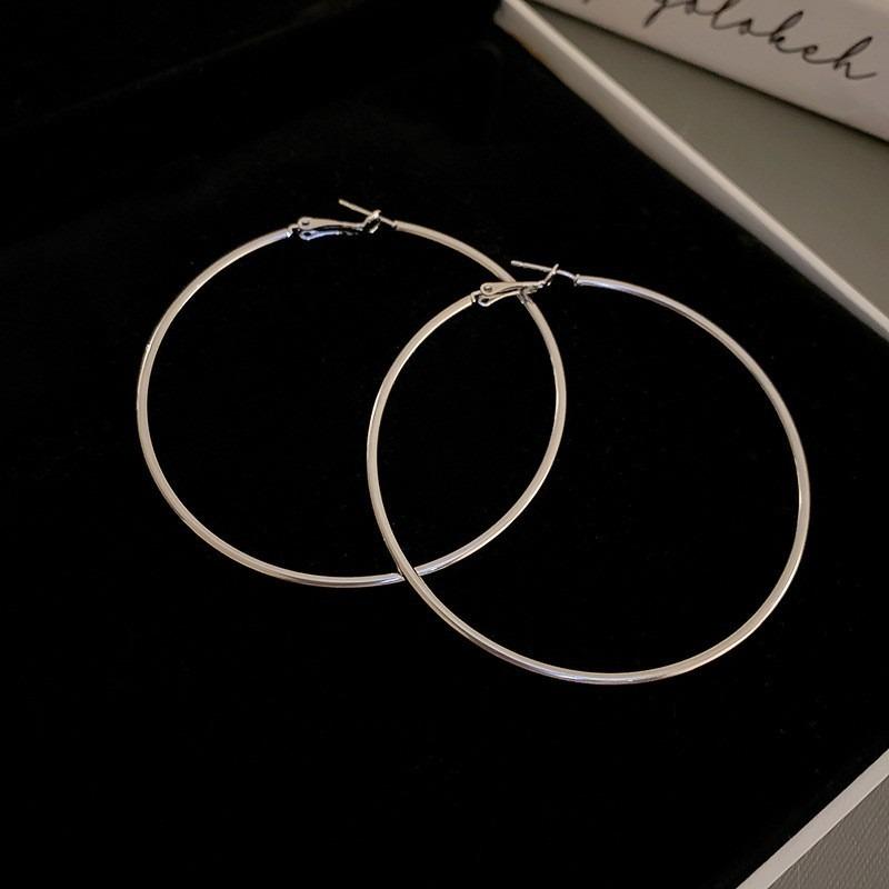 Silver Needle Autumn and Winter Metal Earrings Earrings Niche Fashion Cold Wind Earrings Versatile Light Luxury Premium Earrings