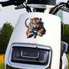 2 PCS 3D Tiger Waterproof Vinyl Decals Fierce Design for Car Truck Bumper Motorcycle Laptop Wall Decor A-148