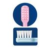 Ci Medical Ci Name Toothbrush 503 (Soft) (For Infants To Elementary School Students) X 6