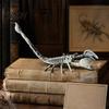 Halloween Tabletop Ornaments Animal Skeleton Figurine, Realistic Crow Rat Scorpion Bone Props for Haunted House Decorations House, Plastic Skull Decor