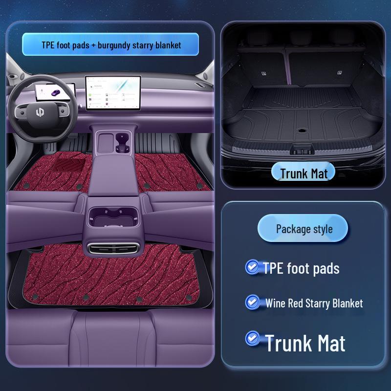 Leapmotor C10 TPE2026 Floor Mats - Complete Set for New Car Interior