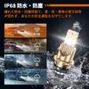 SEALIGHT D4S LED Super D4r LED No No Modification No Dark Replacement for OEM HID Includes Japanese Instruction Manual Headlights, Bright,