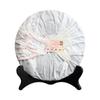 2010 TAETEA 7572 Dayi Shu Puerh Menghai Tee Pu Er Reifer Puer Kuchen 357g