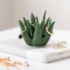 Ceramic Aloe Ring Holder Jewelry Display Tray Cactus Ring Dish Creative Trinket Organizer Bracelets Plate Necklace Earrings