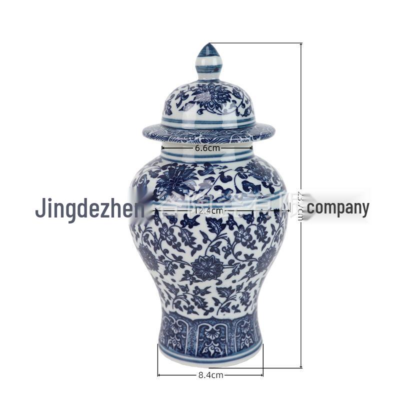 Blue and White Porcelain Vase - Ceramic Jar for Home Entrance Decoration