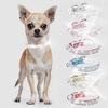 Brilliant Inlaid Rhinestone Dog Collar with Soft Texture - Shiny Pet Necklace for Stylish Dog Accessories