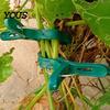 Garden Vine Fasteners 20Pcs Plant Support Clips, Plastic Gentle Clamps, Stem Protection Holders Tomato Cage Clips for Climbing Vines, Flowers