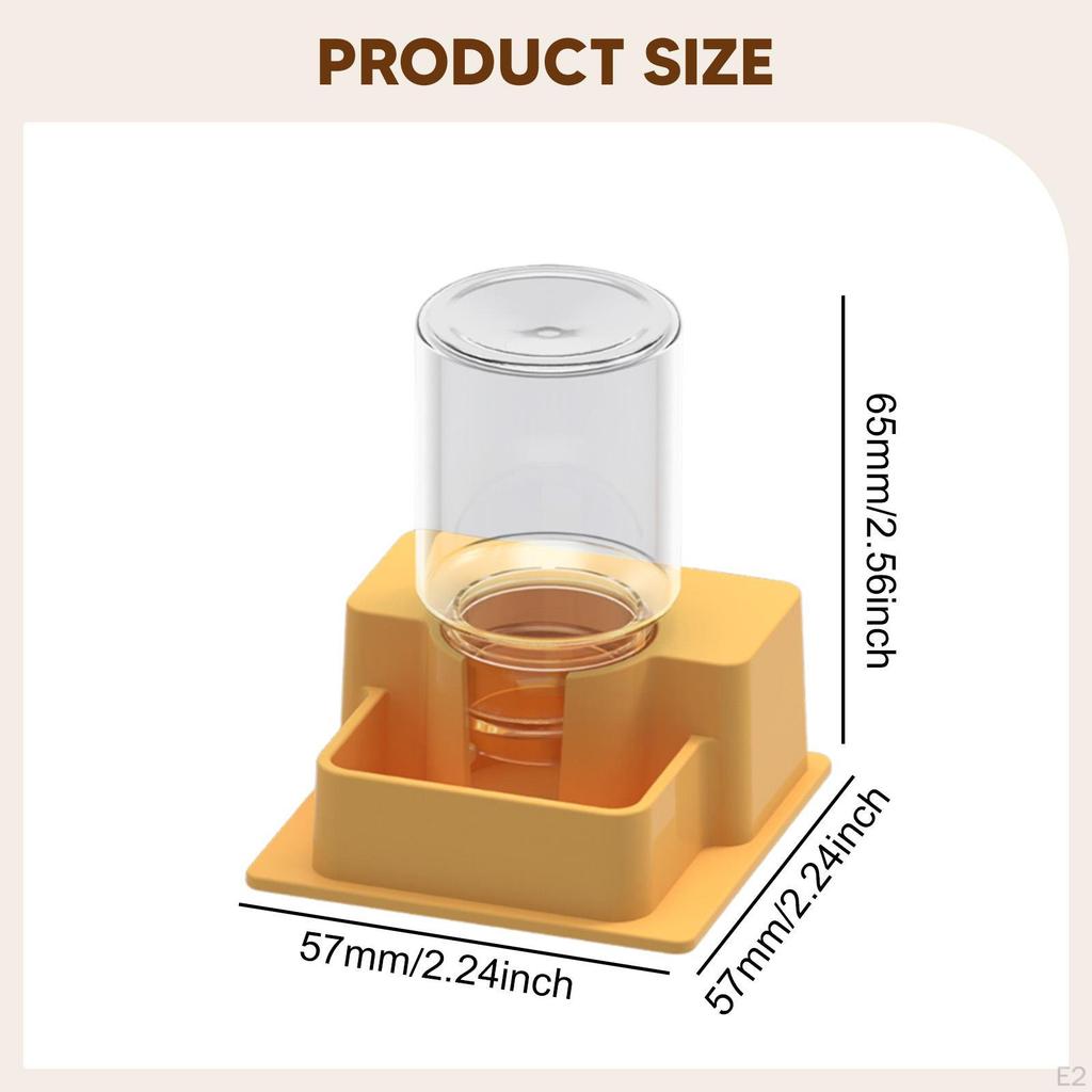 Reptile Feeder Automatic Water Dispenser Tank and Aquarium Accessories for