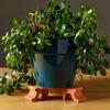 3 STUKS Decoratieve Bloempotstandaards 3D Geprinte Plantenpot Verhoger Voorkom Rot Plantenpot Ondersteuningen Tuin