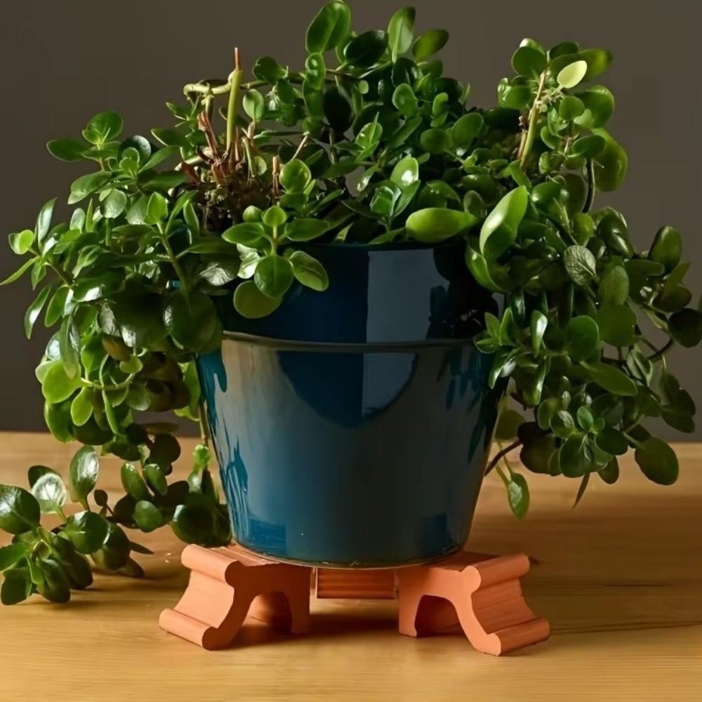 3 STUKS Decoratieve Bloempotstandaards 3D Geprinte Plantenpot Verhoger Voorkom Rot Plantenpot Ondersteuningen Tuin