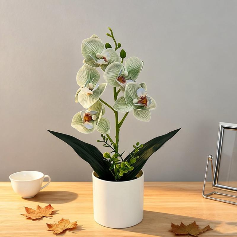 5 Plantas Simuladas de Phalaenopsis en Maceta para Decoración de Hogar y Oficina Plantas Pequeñas en Maceta Falso Bonsái Plantas Verdes