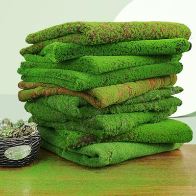 0.5/1M Fake Moss Mat Grass Turf Roll Moss Lawn Home Living Room Rass Carpet Garden Landscape