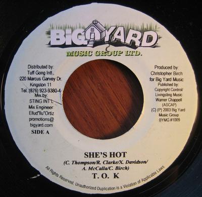 7inch Record T.O.K.  CHRISTOPHER BIRCH  Shes Hot  Birch In A Mirror BYMG1009 Big Yard Music  2003 Jamaica Reggae Ska  Dub Used