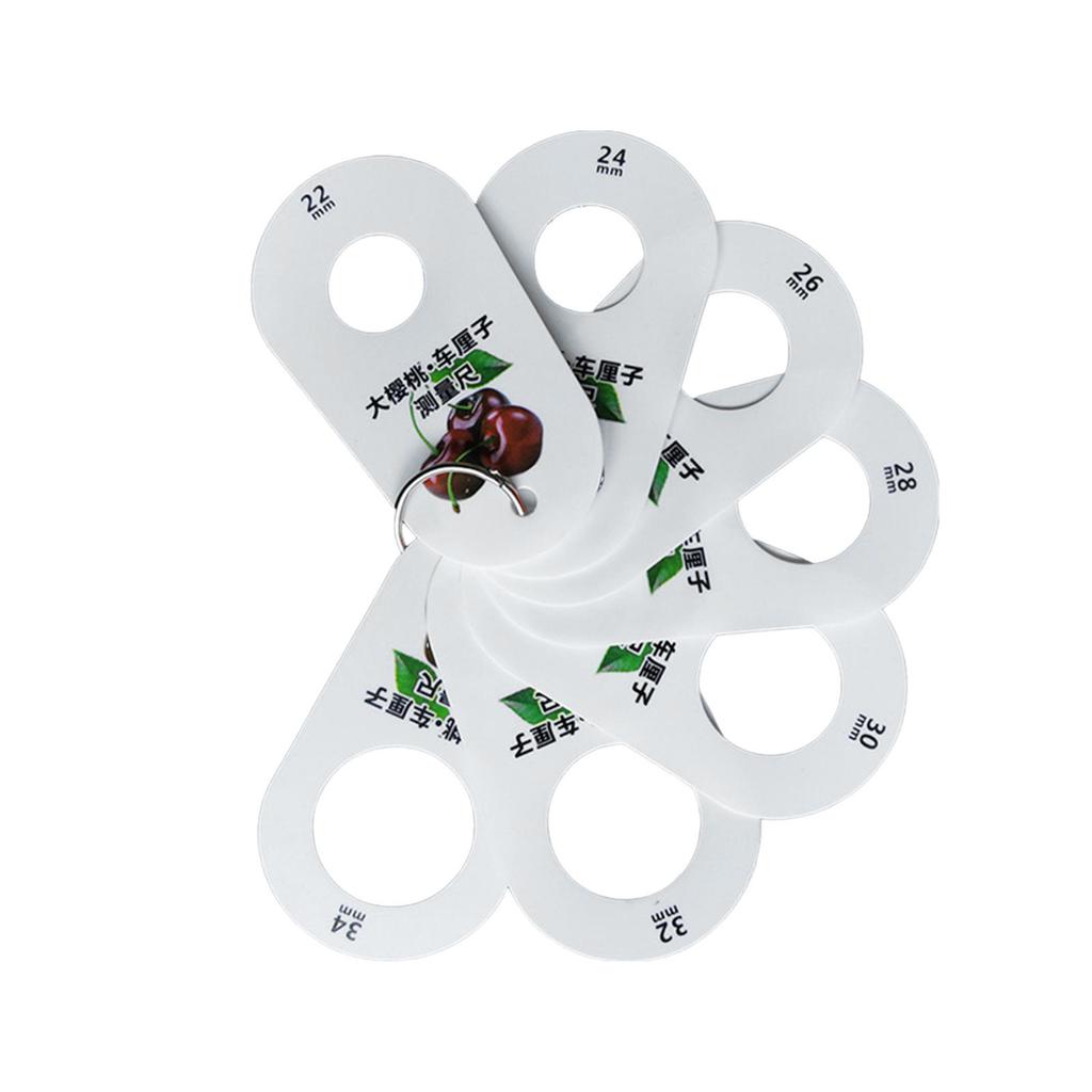 Ruler for Fruits 7 Holes Diameter Gauge Multifunction Professional Cherry Fruit Caliper Standard Measurement Measuring Ruler