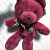 [USED] Rare Tateshina Teddy Bear Museum Red Teddy Bear