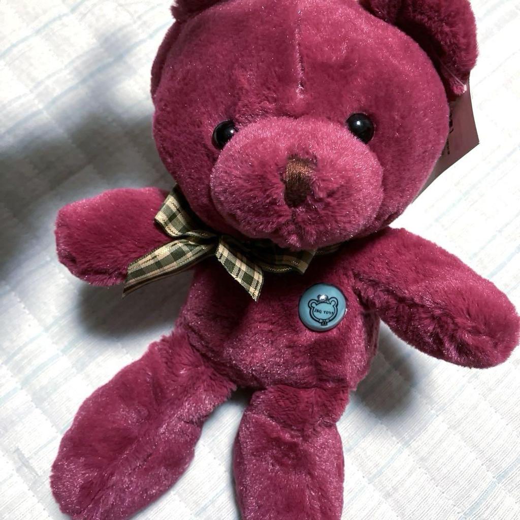 [USED] Rare Tateshina Teddy Bear Museum Red Teddy Bear