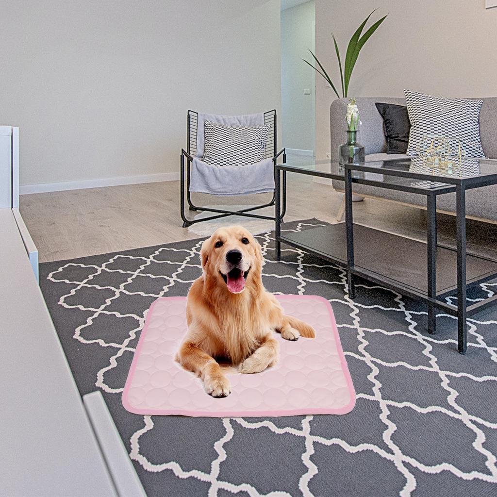 Cooling Dog Mat for Hot Weather Relief Exquisite Craftsmanship Resists Breakage Tear Ideal for Indoor Outdoor Pet Comfort