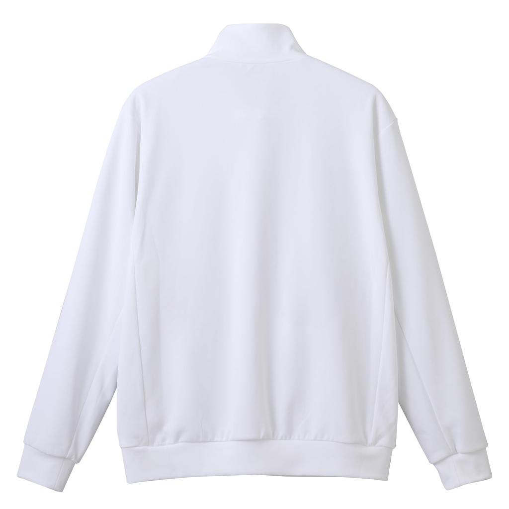 Descente SUNSCREEN TAIKYU Stand Jacket Cooling Function Stretch Fade Resistant Jersey [Move Sports] Jersey/Cross Men's WH00(ST5SJG12M)