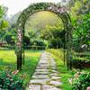 Outdoor Metal Arch for Climbing Plants Heavy Duty Wedding Arch Backdrop Stand