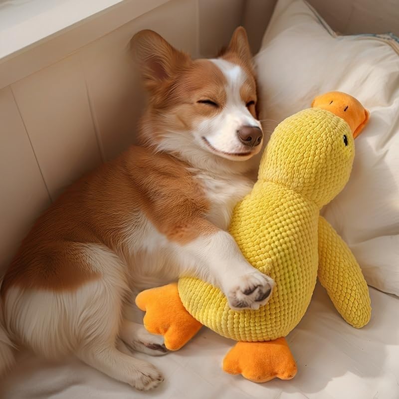 PETTENA Chew Toy for Sleep Dog Chew Toy Dogs, Aid, (L)