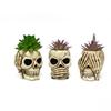 Totenkopf-Blumentöpfe, Skelett-Vasen für Sukkulenten, Blumen, Punk-Heimdeko & Accessoires, Halloween- & Tag der Toten-Dekoration