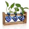 Creative Colorful Heart Shaped Transparent Glass Vase Wooden Frame Hydroponic Vase Container Home Ofice Table Decoration