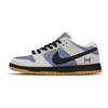 Nike Dunk SB Slip Resistant Abrasion Resistant Slip Resistant Abrasion Resistant Low Top Skateboard Shoes Unisex HF3704-001(Team882-Thunder)