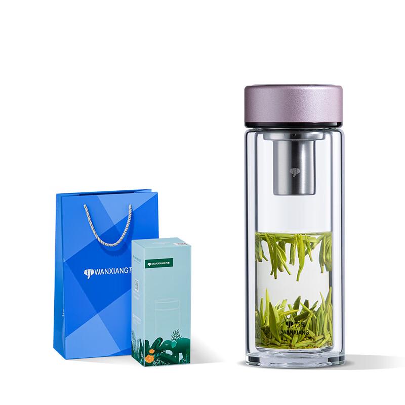 V379R Double Wall Glass Tea Cup