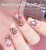kads Nail Art Stamp Plate Constellations Image Design Stamping Printing Template Nail Stencil Tool for Nail Polish