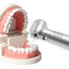 Niceden Dentystyczna LEDowa Szybkoobrotowa Końcówka Turbinowa Powietrzna z Samozasilającym E-generatorem Światłowodowa na Przycisk Standardowa/Mini Główka 2/4 Otwory