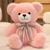 Teddy Bear Plush Toy Bear Doll Creative Variety Sweater Bear Doll Rag Doll for Girlfriend Birthday Gift