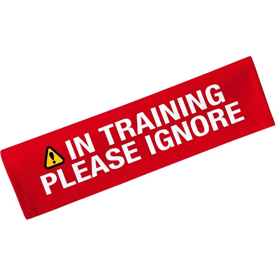 Advivio in Training Please Ignore Funny Dog Leash Sleeve, Service Dog Leash Wrap Alert Hanging ID Patch Tag, for Pet Birthday Gift