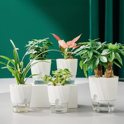 Selbstbewässernder Pflanztopf Blumentopf mit transparentem Reservoir Pflanzgefäß mit Dochtschnüren und Drainagelöchern für Orchideen Afrikanisches Veilchen Sukkulenten Zimmerpflanzen