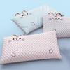 2Pcs Cartoon Pattern Summer Ice Bean Pillowcase Rectangular Pillow Protecter  Dormitory