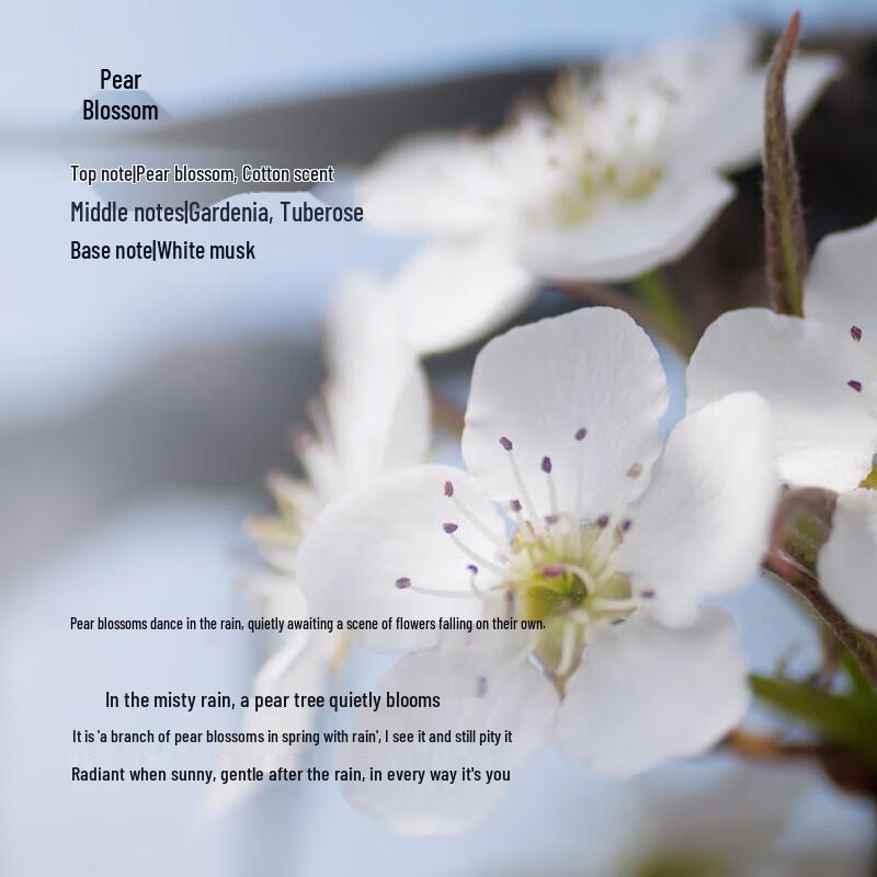 Tesori D'oriente Repairing Fragrance Shampoo