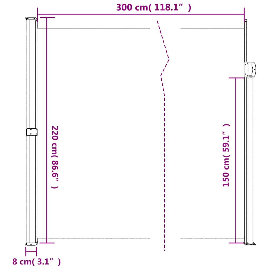 Retractable Side Awning Black 220 x 300 cm