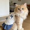 Soft Pet Princess Dress Breathable Dog Dress Cute Puppy Slip Dress  Pet Supplies