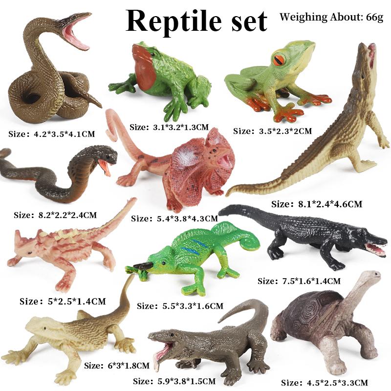 Oenux Montessori Toy Wild Farm Dinosaur Ocean Cat Animals Model Action Figure Zoo Figurines Cute Miniature Education Kid Gift