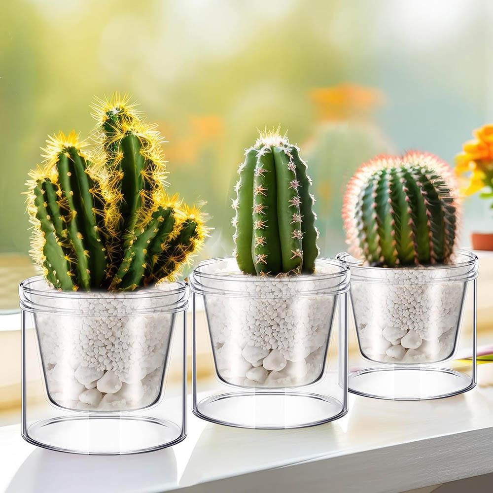Self Watering Pot for Indoor Plants Clear Glass Planter Small Plant Pot with Saucer Reservoir Drainage Holes Bottom Watering Pot