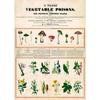 Arte Murale Classica Vintage Piante Fungo Fiore Medicinale Insetto Farfalla Verdura Zucca Carota Tela Poster ad Olio e Stampe