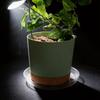 Plastic Flower Pot Tray With Pet Material And Dustproof Design For Garden And Home Use