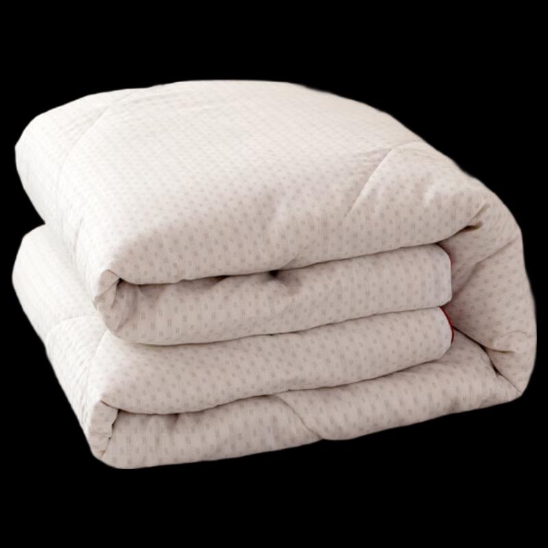 QI LU QL-B2309 Winter Polyester Quilt
