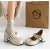 Designer Thick Heel Women Mary Jane Shoes Concise Round Toe Belt Buckle Shoes 2026 New Spring Female Elegant Dress Pumps