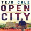 Open City by Teju Cole Paperback Book 9780571279432