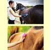 1Pcs Colorful Horse Accessories Hard Bristle Equestrian Massage Tool  for Effective Cleaning Care
