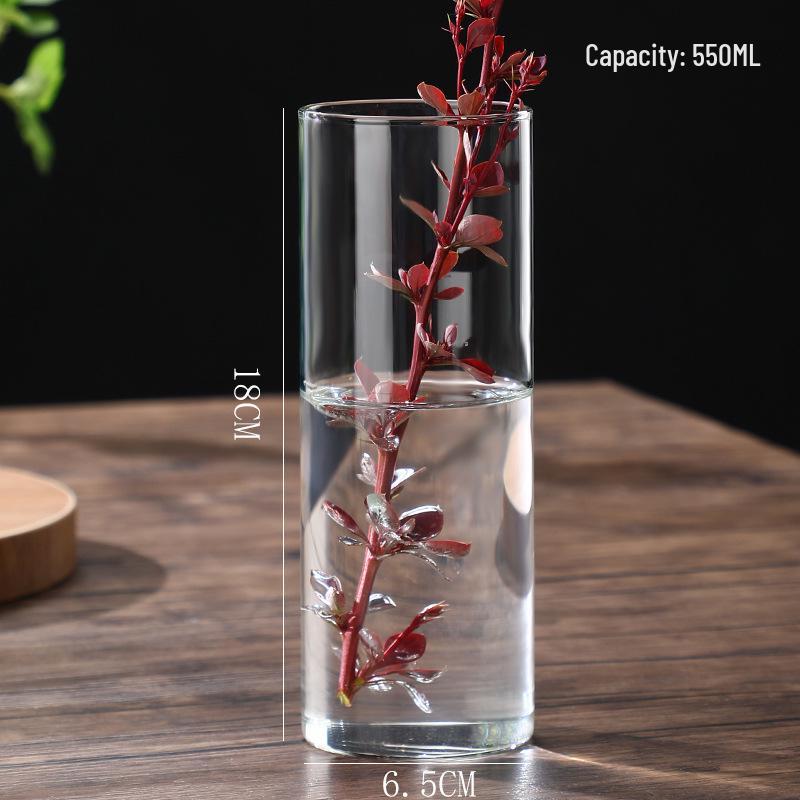 High Borosilicate Glass Hydroponic Vase & Desktop Planter - Straight Tube Design for Artistic Arrangements and Moss Ecosystem