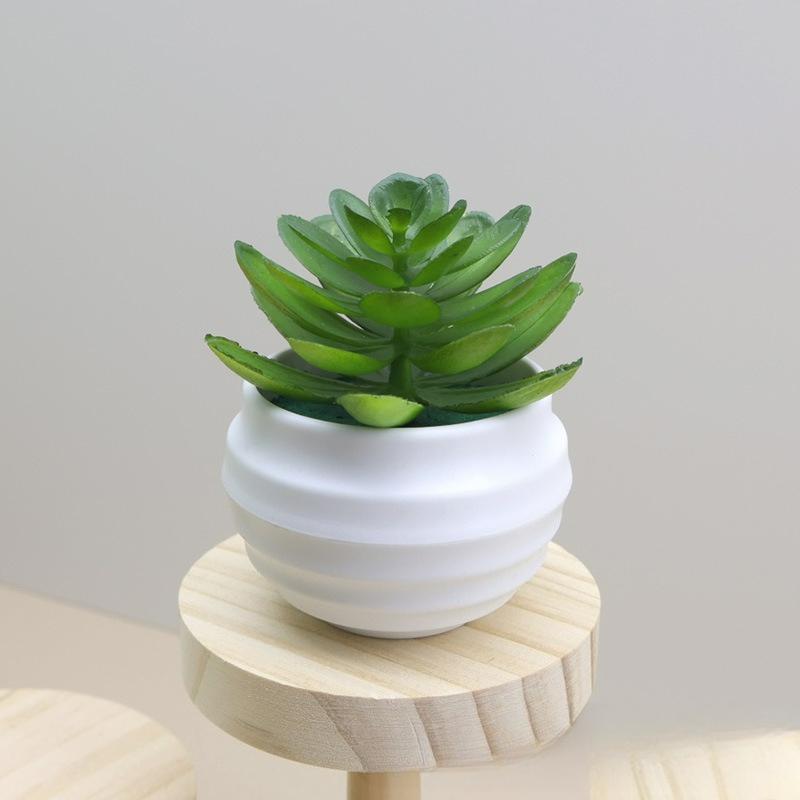 Simulated Succulents Artificial Succulents with Pots,plastic for Desktops, Offices and Decorations - Ideal for Decoration