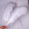 White Ostrich Feathers 15-80cm for Lighting, Wedding Aisle Decor, Photo Props, and Vase Ornaments